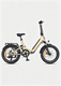 ENGWE L20 3.0 Boost E-Bike