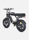 M1 Motorcycle-styled Electric Bike