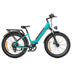 E26 Electric Electric Bike